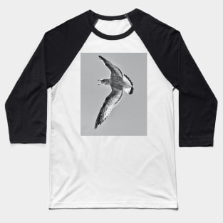 Attacking Gull Baseball T-Shirt